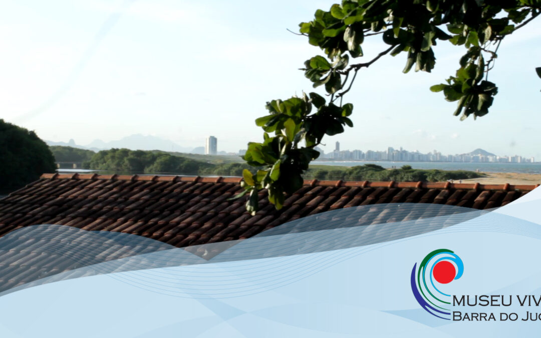 Prestação de Contas Culturada Viral Virtual e Eleição Museu Vivo 2021